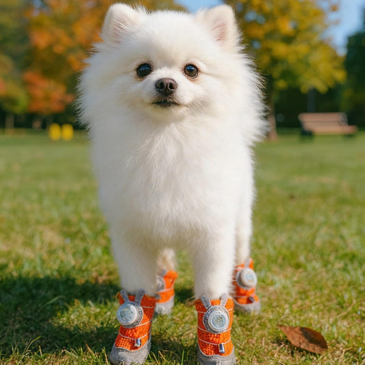 2026 LED Light-Up Dog Shoes (4pcs) – Glow in the Dark Night Walk Boots for Small & Medium Dogs