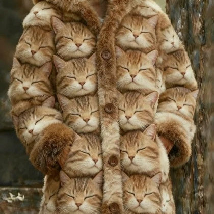 Cute Cat Face Plush Hooded Jacket – Long Sleeve Casual Coat